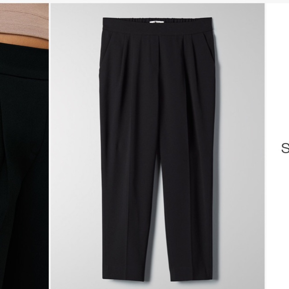 Aritzia Babaton Cohen Pant Terado - Picture 4 of 6